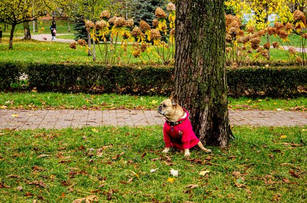 Come l'auto-riflessione può aiutarti a raggiungere i tuoi obiettivi personali?
